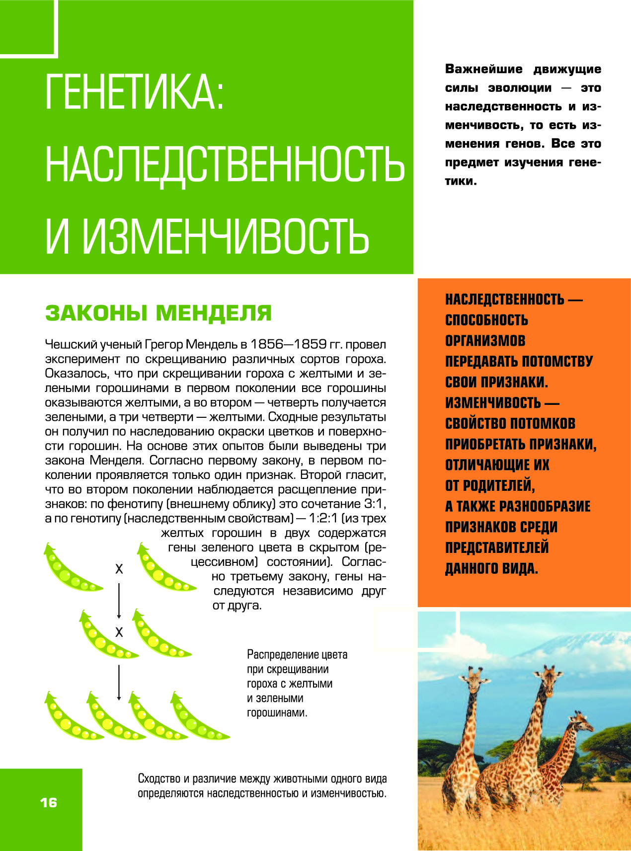 Гигантская Детская Энциклопедия С Дополненной Реальностью Купить