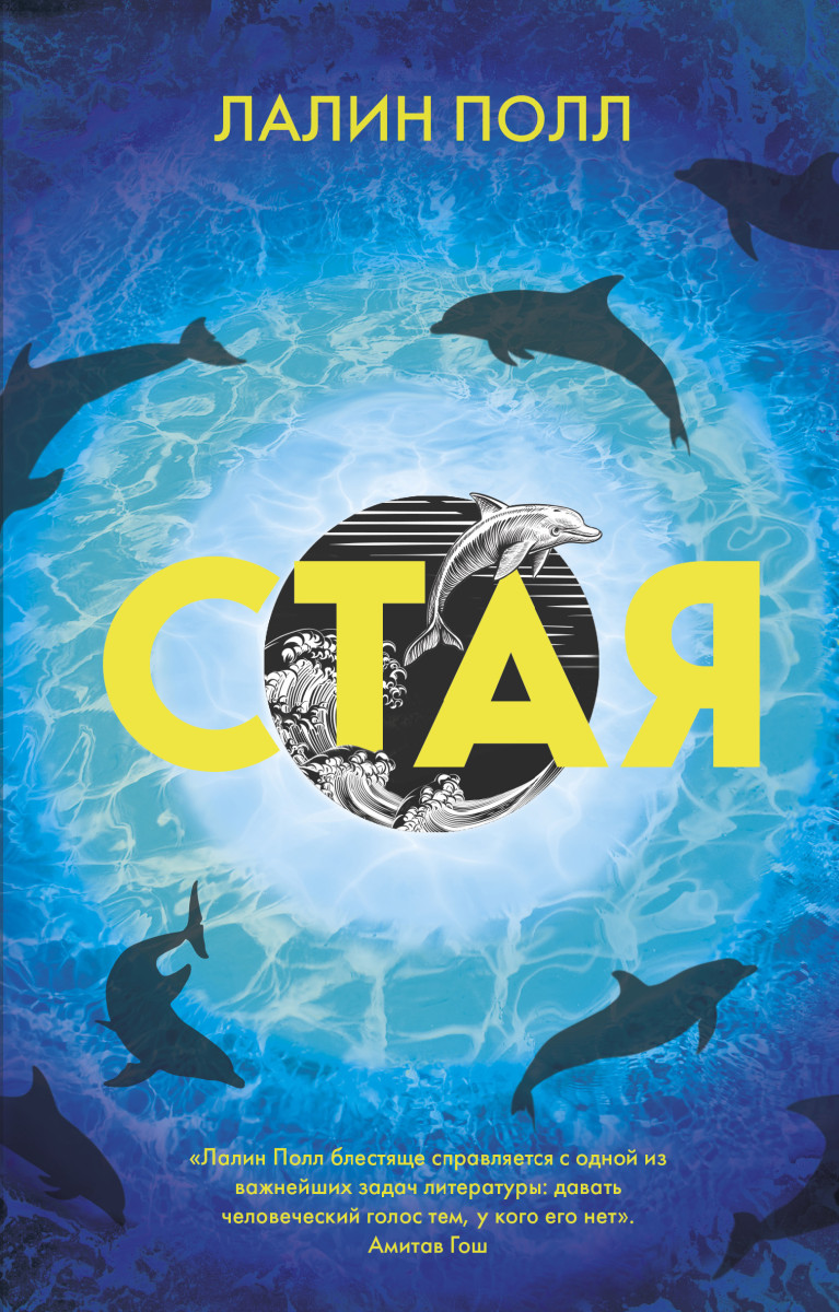 Стая Стая