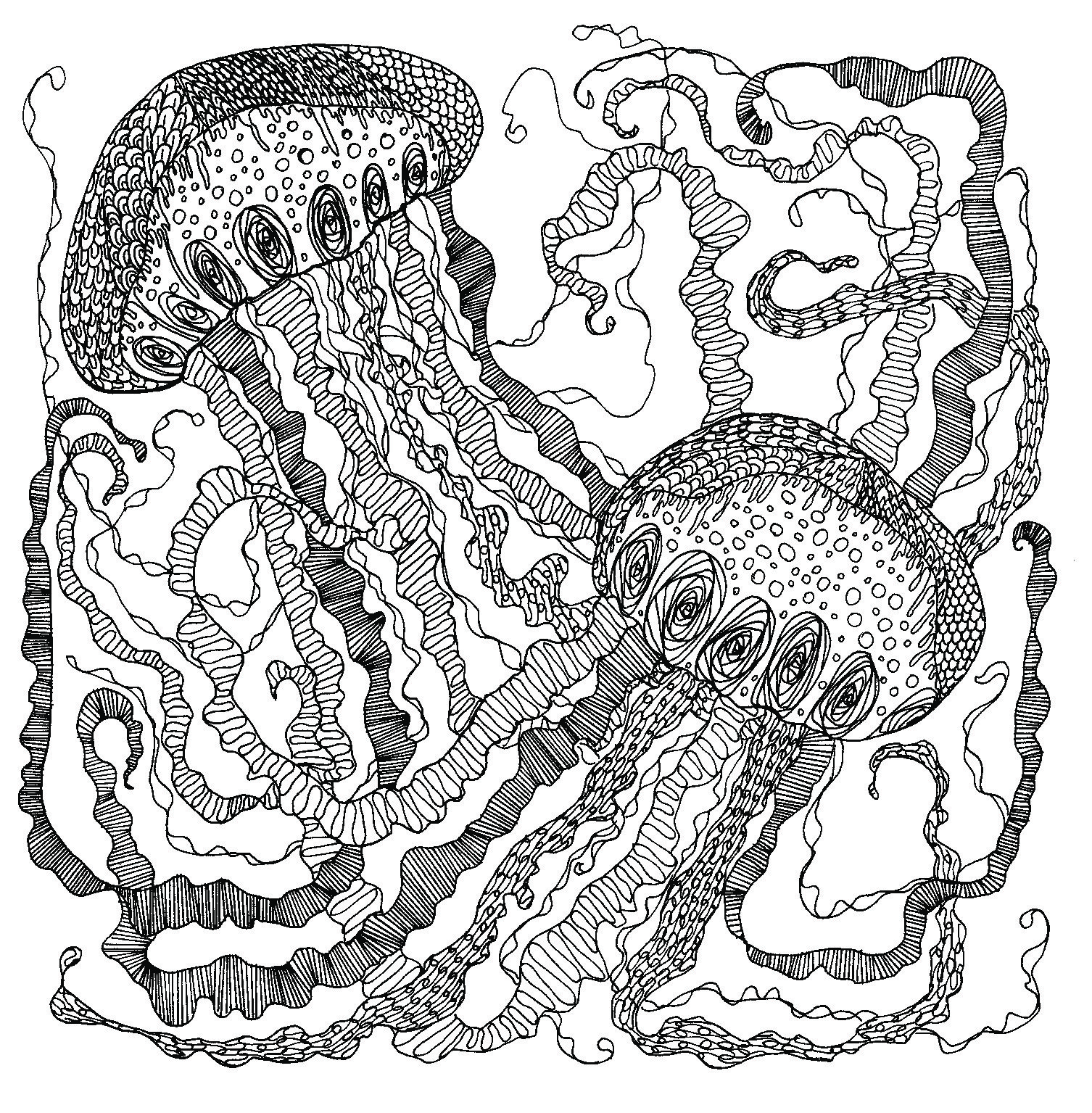Раскраска антистресс медуза