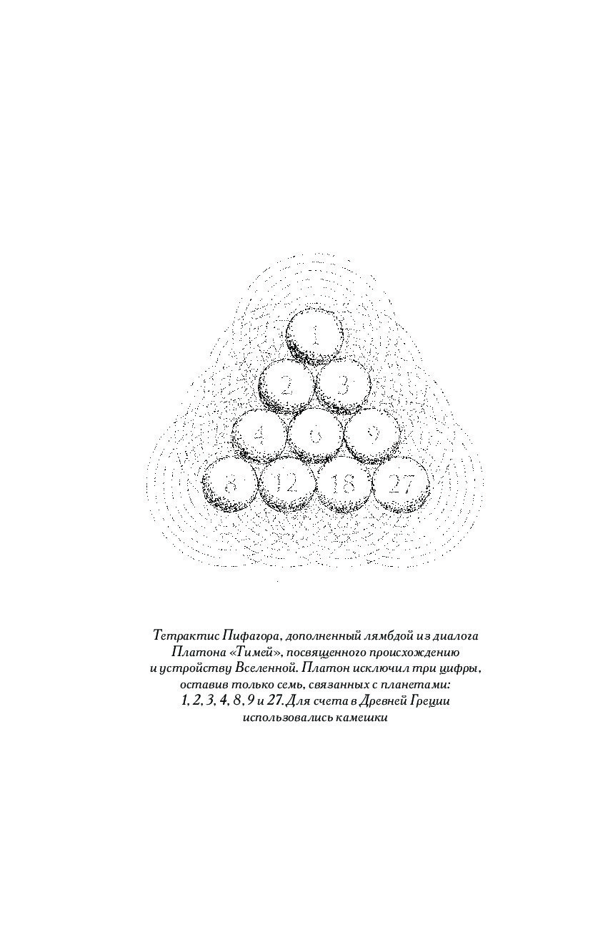 Тетраксис