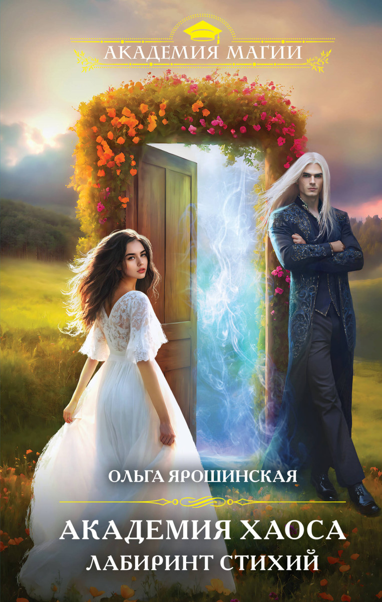 Академия хаоса. Лабиринт стихий Академия хаоса. Лабиринт стихий