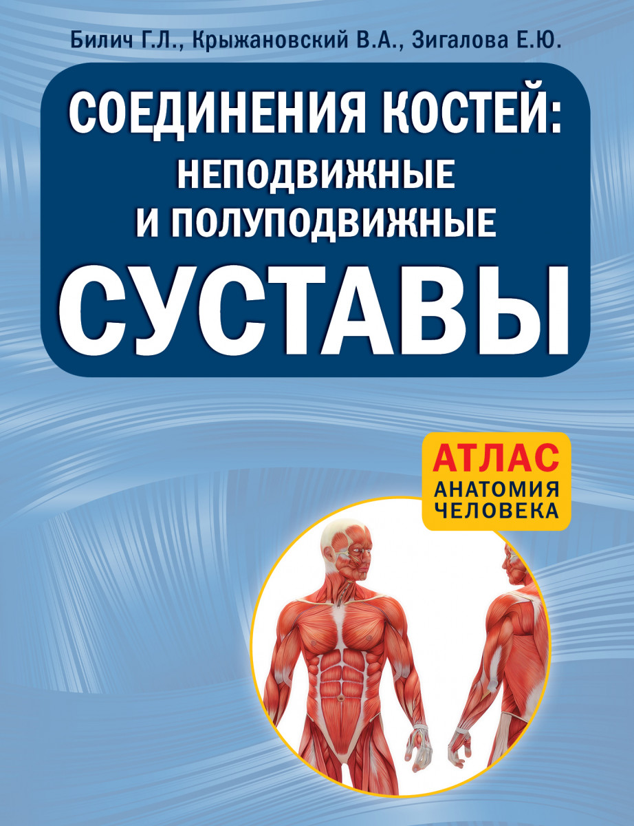 Атлас анатомии Билич Крыжановский. Атлас по анатомии Билич. Анатомия человека Билич Зигалова. Полуподвижные и неподвижные суставы.