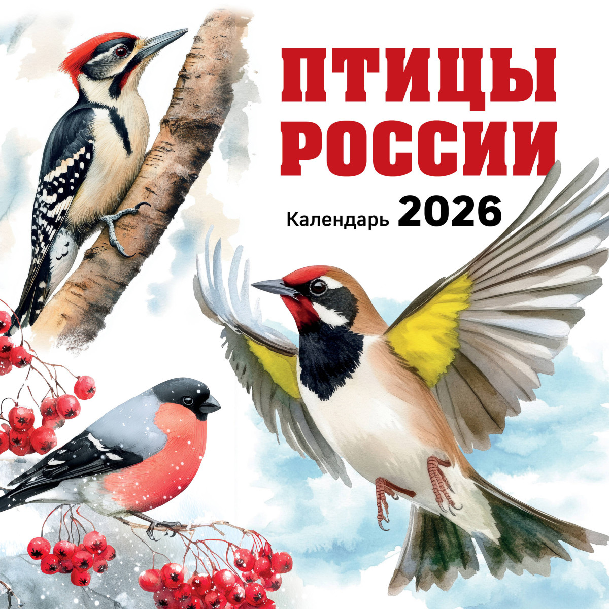 Птицы России. Календарь настенный на 2026 год (300х300 мм) Птицы России. Календарь настенный на 2026 год (300х300 мм)