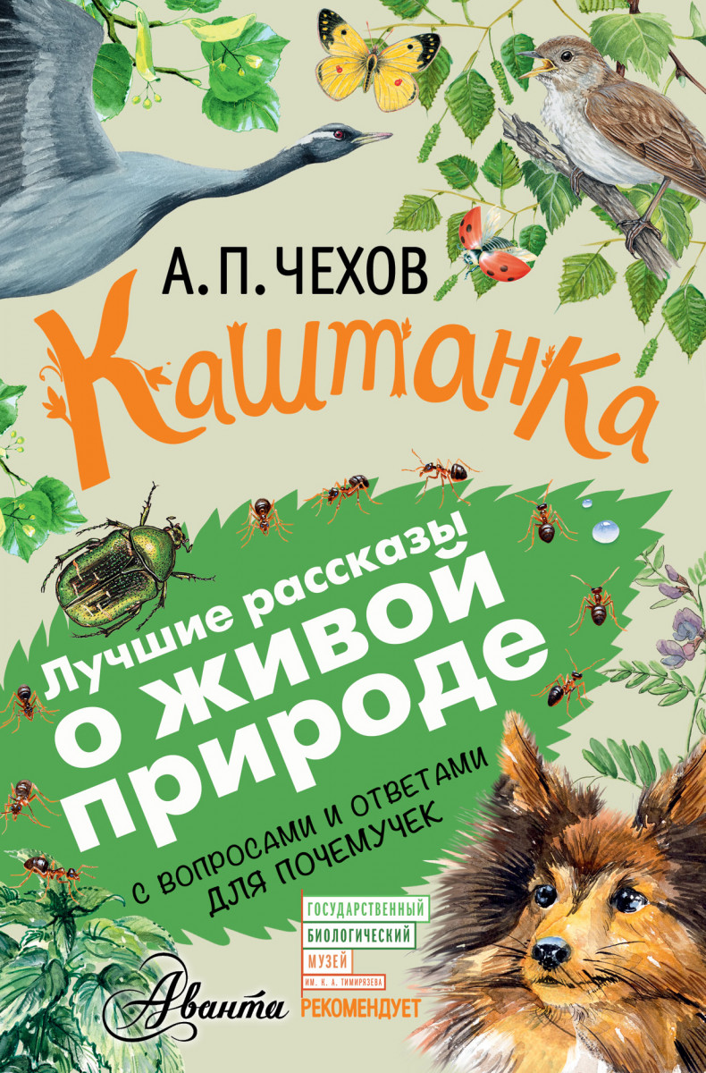 Купить книгу Каштанка Чехов А.П. | Book24.kz