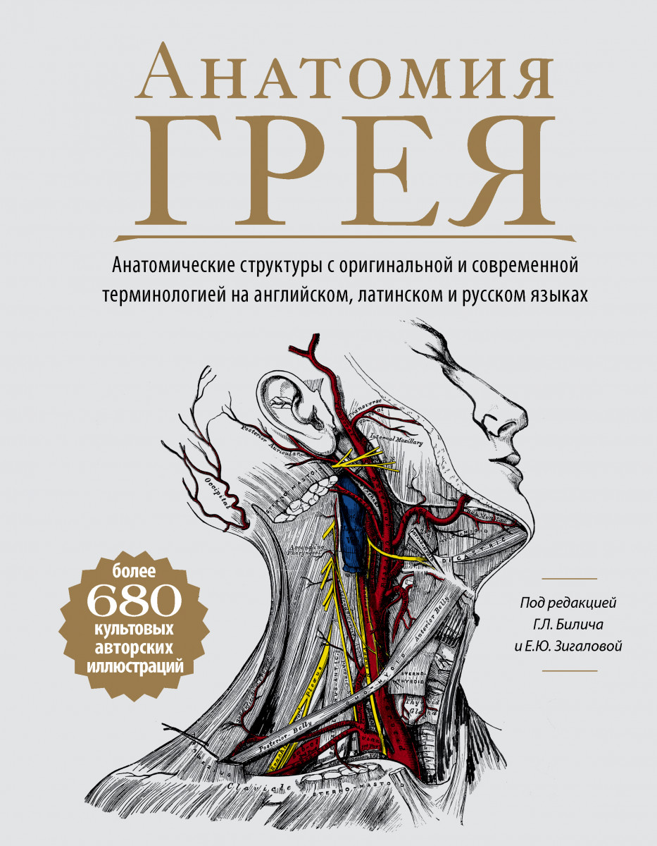 Купить книгу Анатомия Грея. Анатомические структуры с оригинальной и  современной терминологией на английском, латинском и русском языках Билич  Г.Л., Зигалова Е.Ю. | Book24.kz