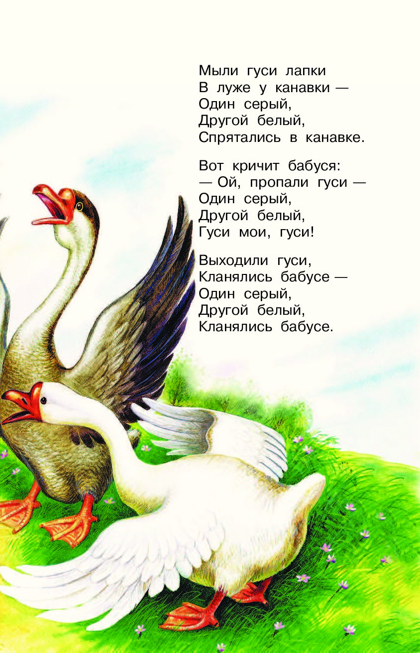 Читать про гуся. Стишок про гуся для детей. Стихотворение про гуся. Стих про гуся для детей. Стишки про гусей для детей.