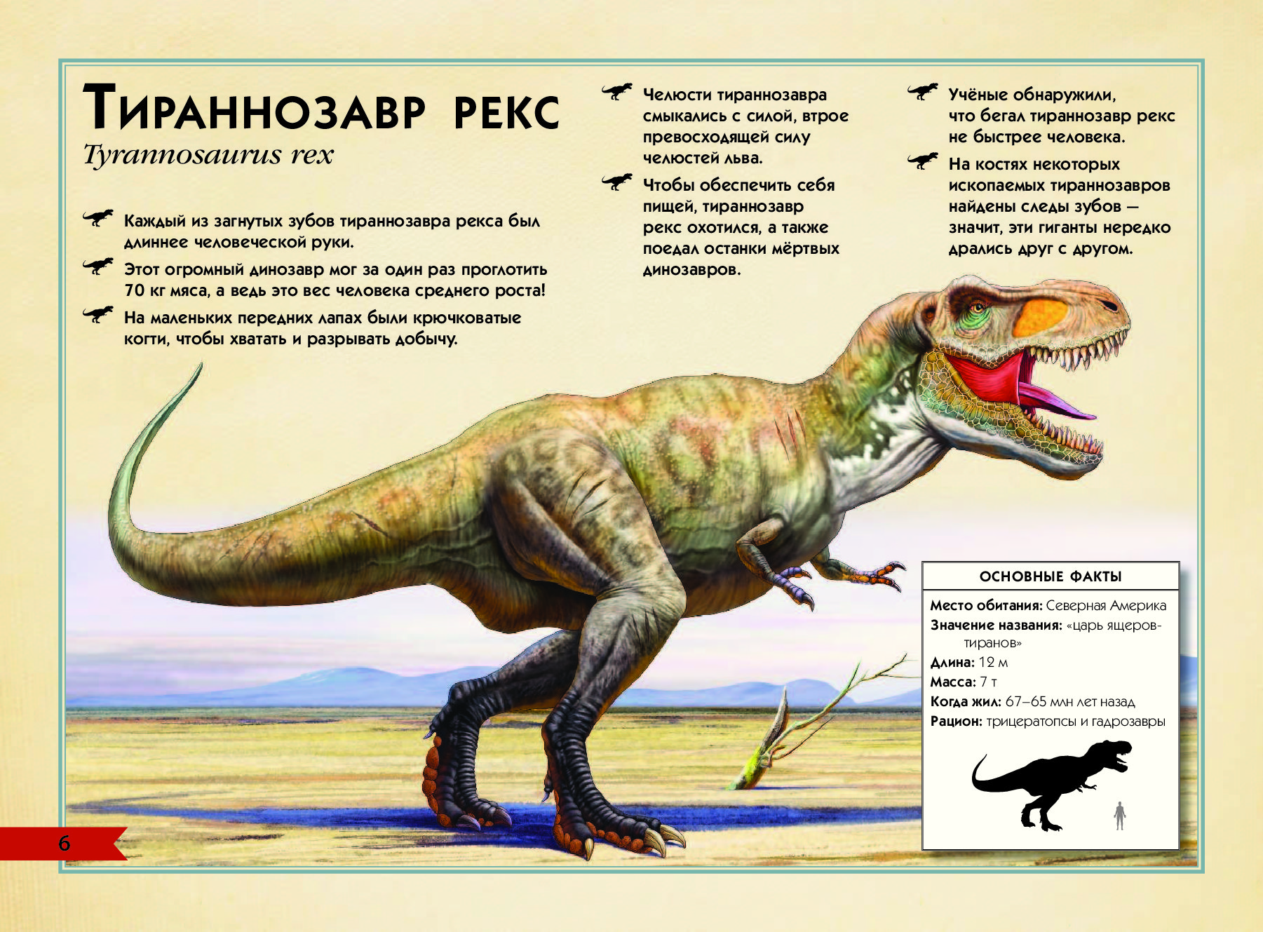 Опиши динозавра. Тираннозавр рекс рост и вес. Тираннозавр рекс описание для детей 1. Тиранозавр энциклопедия. Динозавры описание для детей.