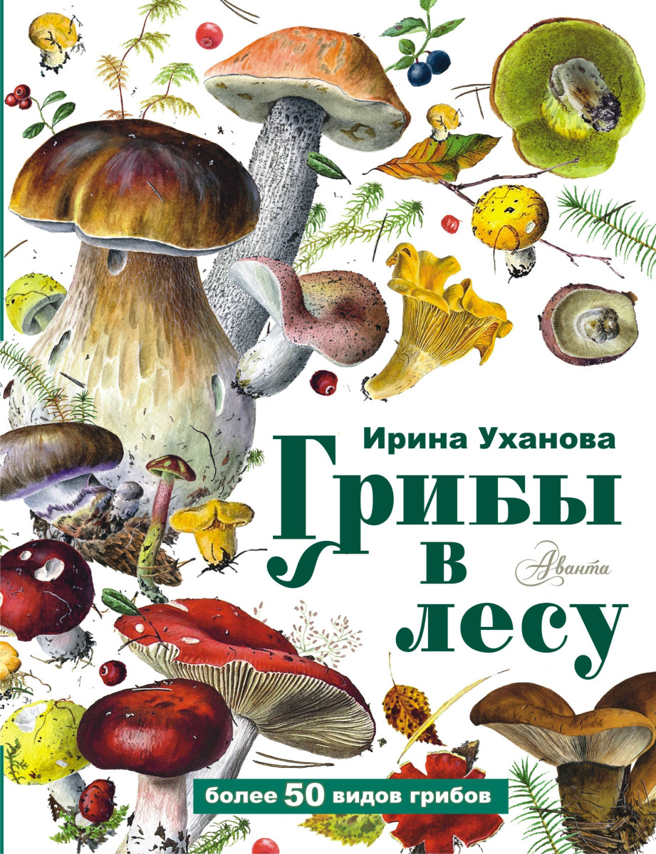 Купить Грибы в лесу Уханова И.А. | Book24.kz