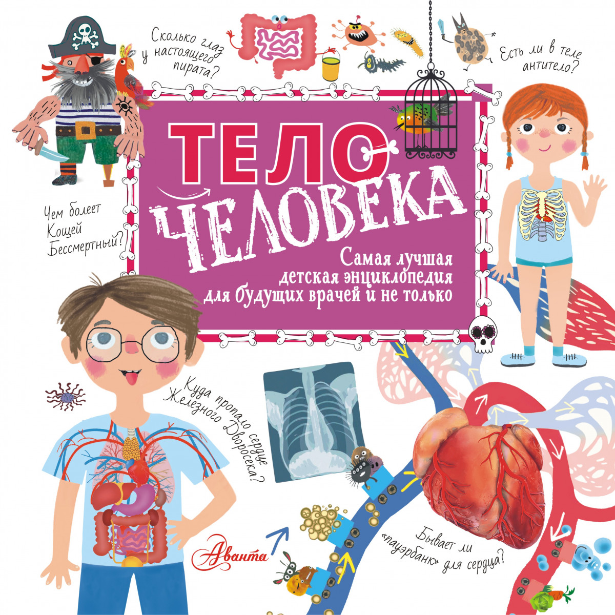 Тело человека Тело человека