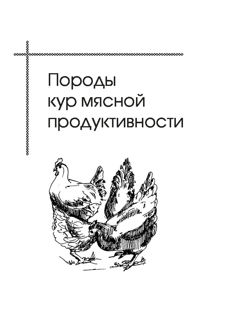 Читать книгу курица. Куры книга. Иллюстрированная книга куры. Курица с книгой. Книги разведение кур мясных пород.
