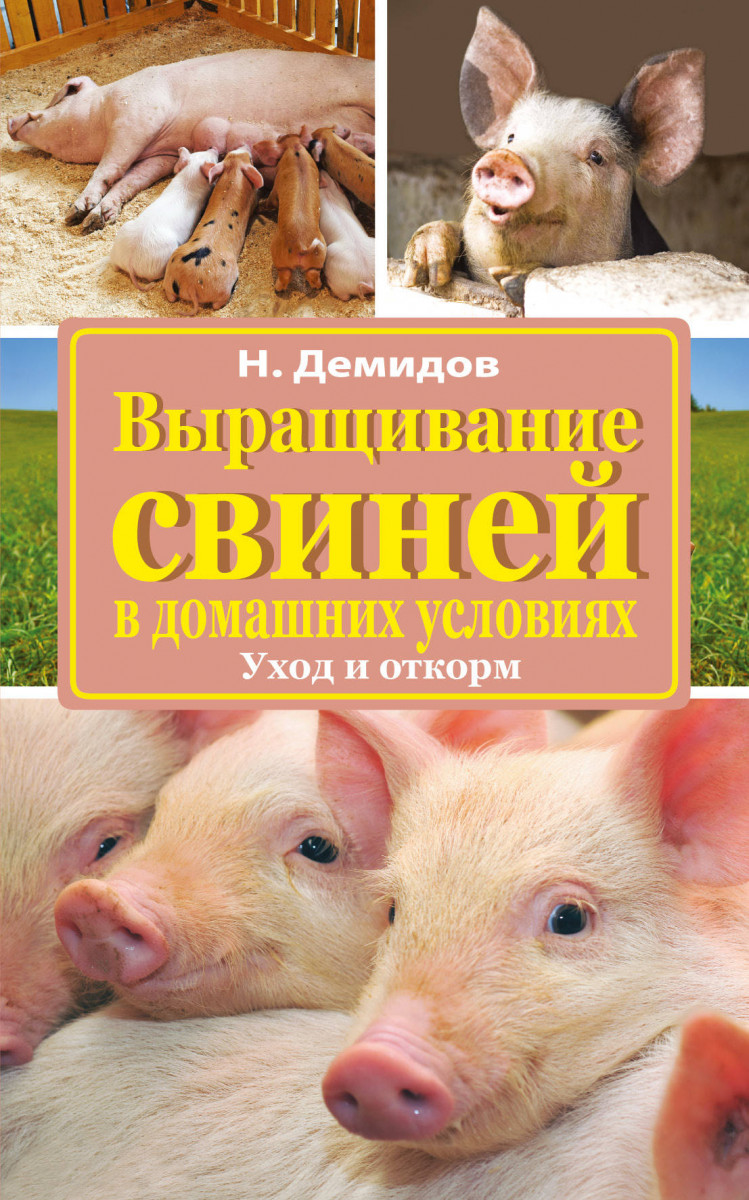 Как вырастить свиней. Свинья с книгой. Свиноводство книга. Откорм свиней. Разведение свиней.