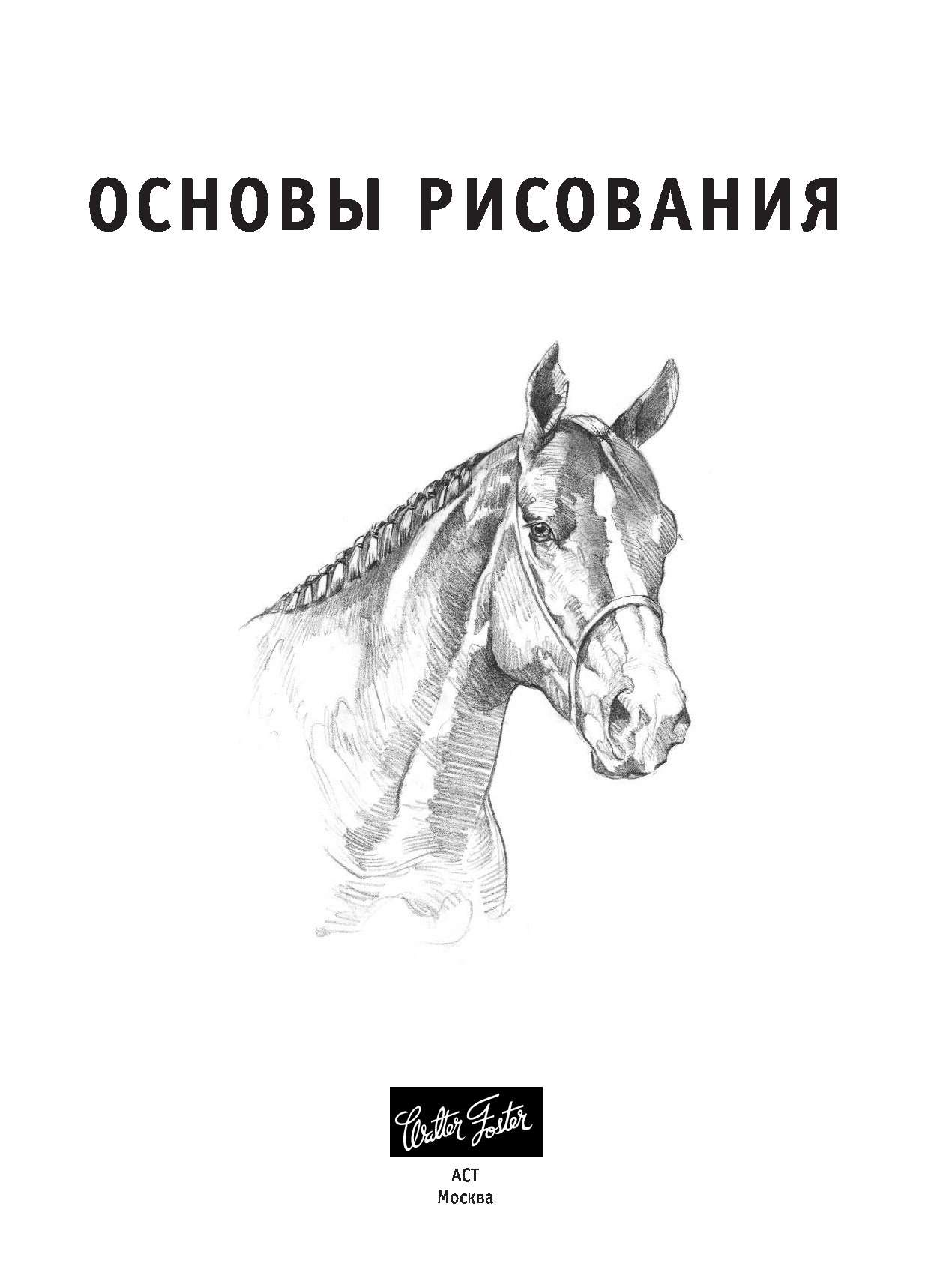 Основы рисования. Книга основы рисования. Основы рисования карандашом. Основы рисования карандашом книга.