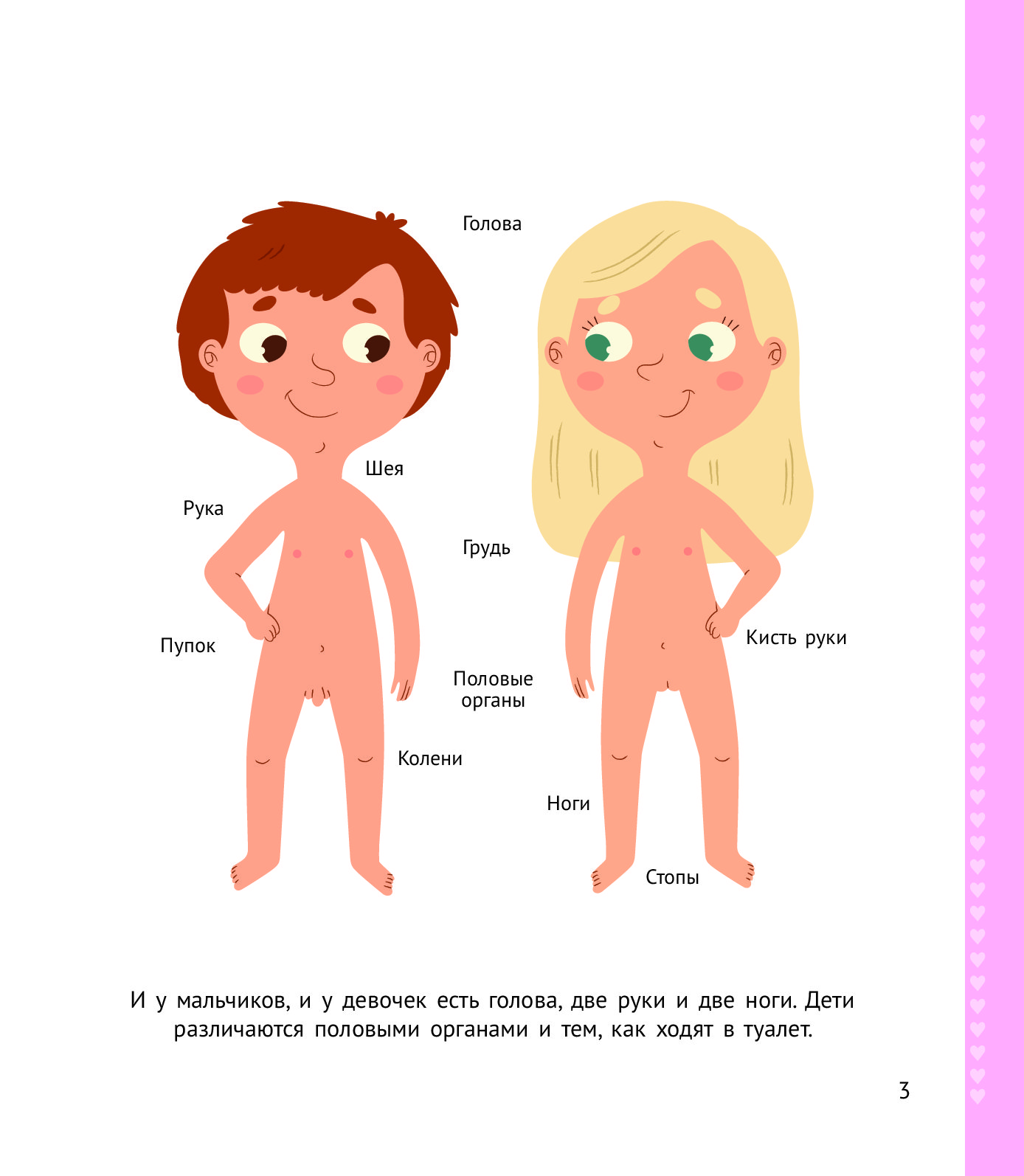 Различие половых органов. Отличие мальчиков от девочек. Анатомия мальчика и девочки для детей. Чем отличается мальчик от девочки. Отличие девочки от мальчика для детей.
