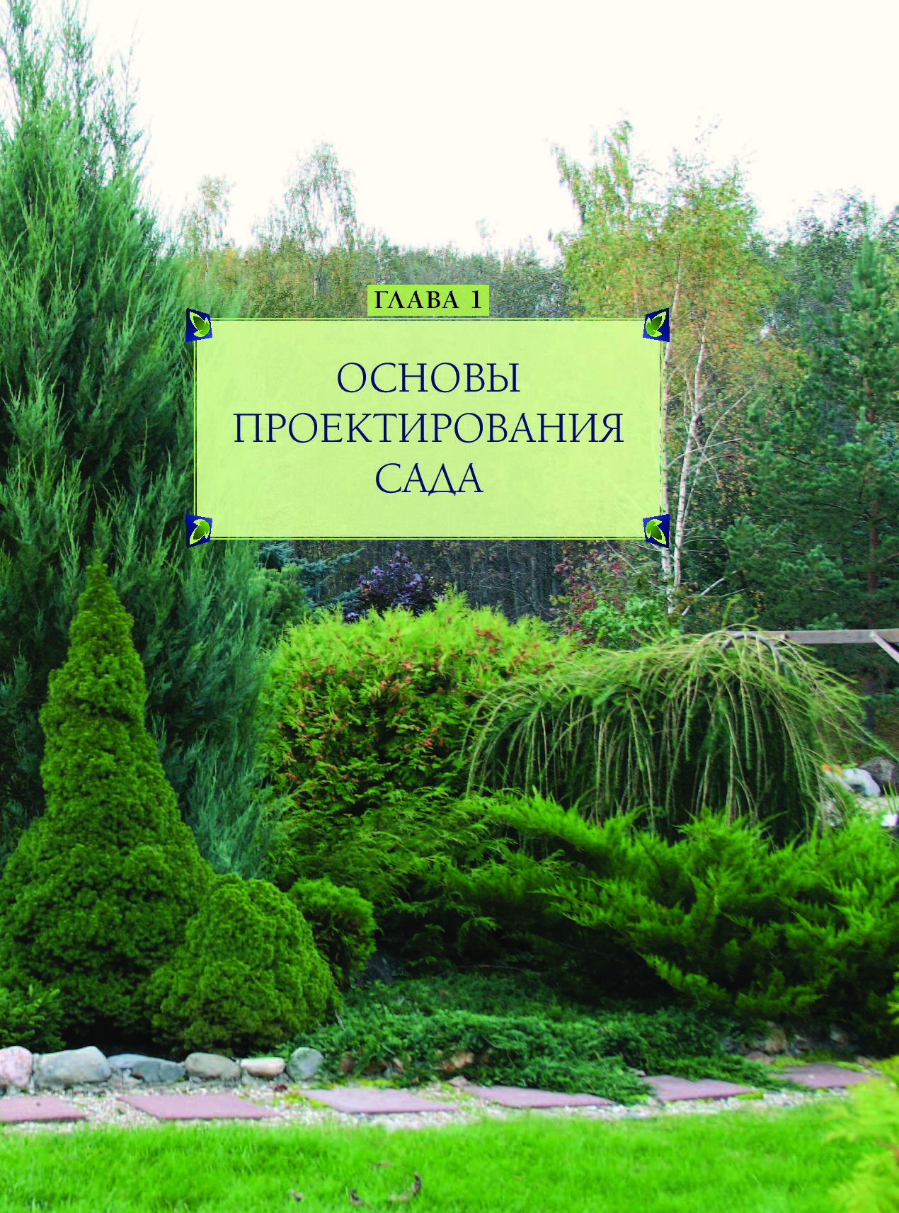 Татьяна шиканян ландшафтный дизайн своими руками от проекта до воплощения