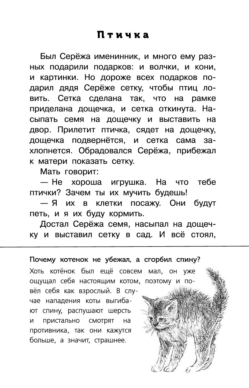 Рассказ л.н.Толстого Булька