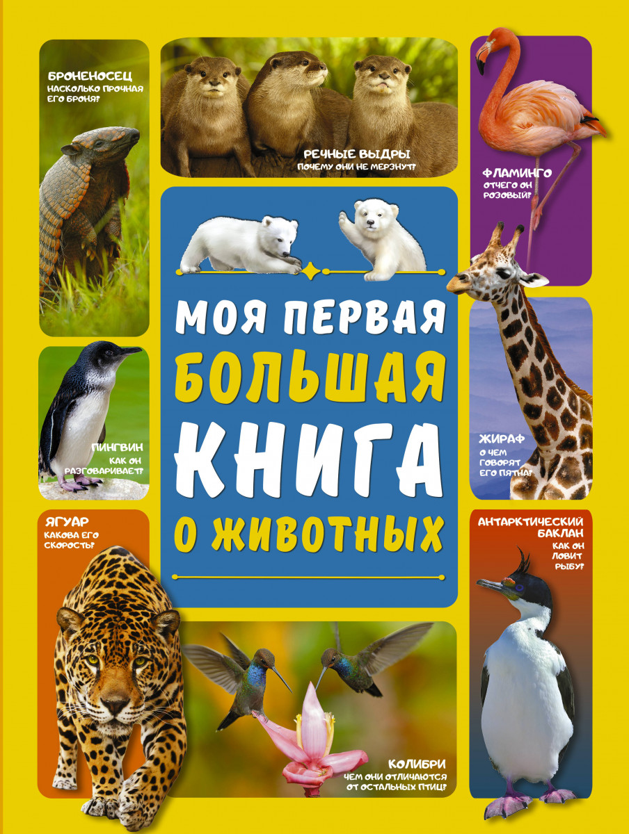 Моя первая большая книга о животных Моя первая большая книга о животных