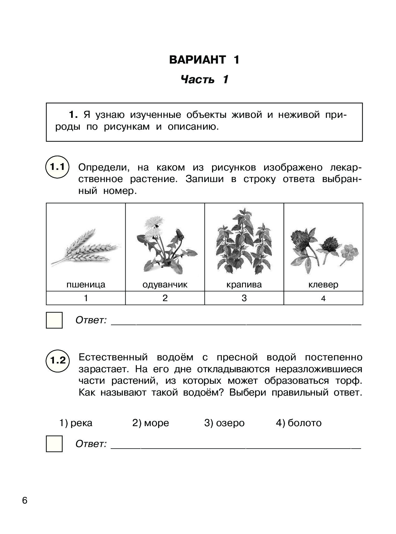 Впр по окружаю. Проверочная работа окружающий мир 4 класс ВПР. Контрольная работа ВПР 4 класс окружающий мир. Задания ВПР 4 класс окружающий мир. ВПР 4 класс окружающий мир 2021 год задания и ответы.