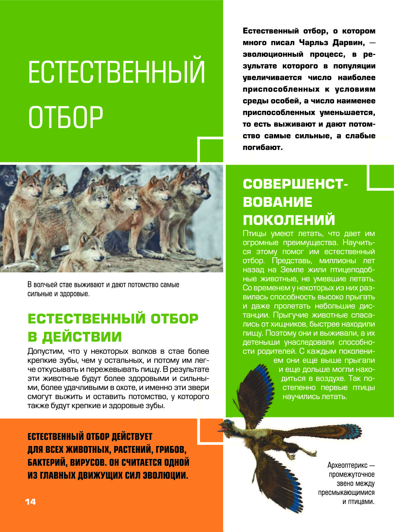 Гигантская Детская Энциклопедия С Дополненной Реальностью Купить