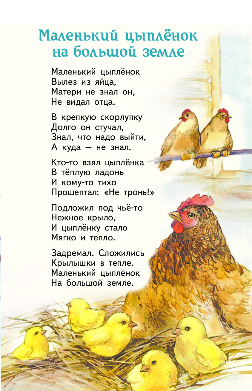 Стих про цыпленка