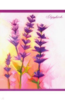 Сиреневое сияние ТЕТРАДИ А5 (*скрепка) 48Л. Обложка: лакирование