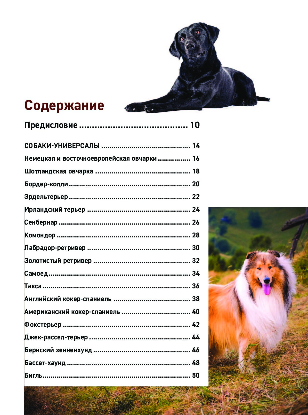 Справочник по породам собак