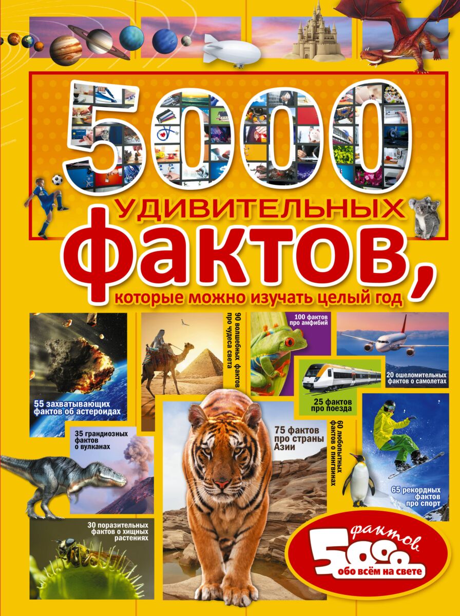 5000 удивительных фактов, которые можно изучать целый год 5000 удивительных фактов, которые можно изучать целый год