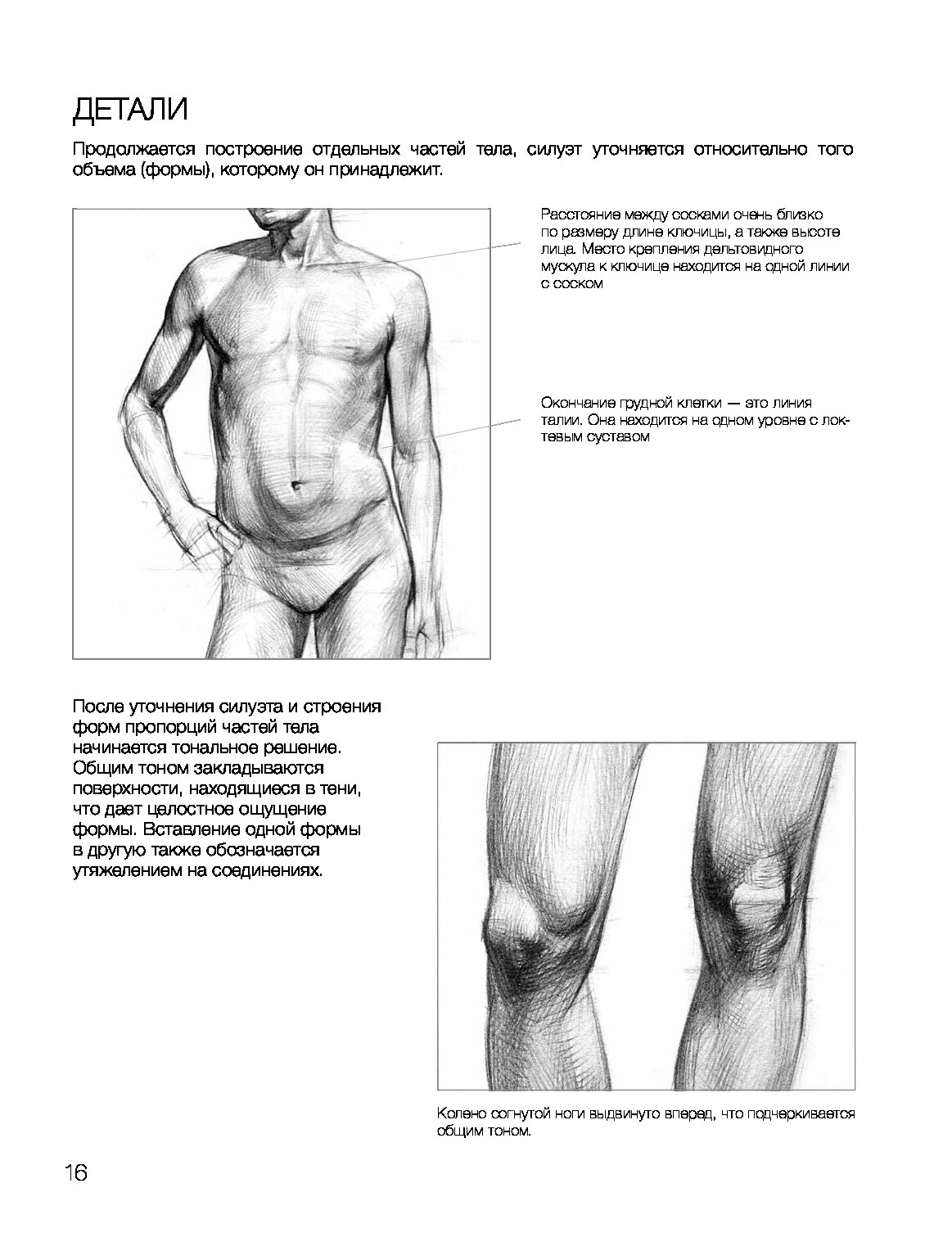 Купить Книгу База Академического Рисунка