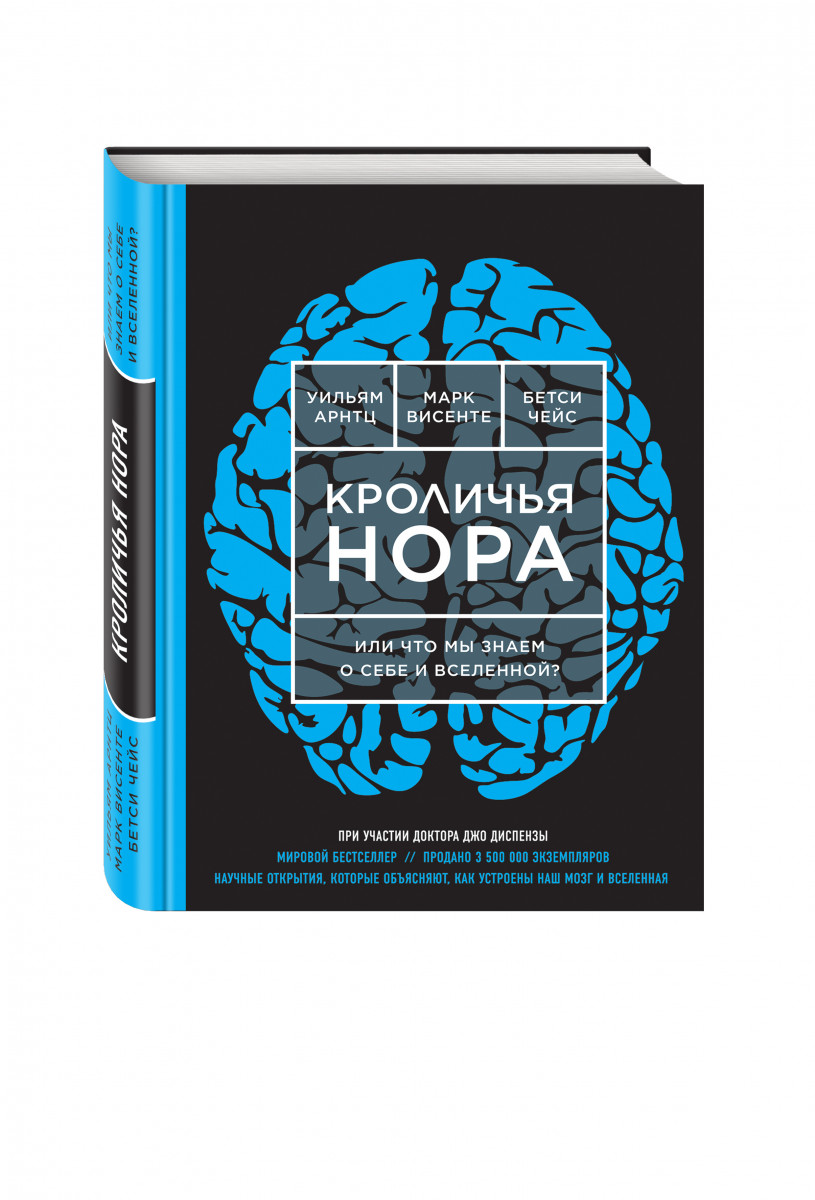 Проект кроличья нора