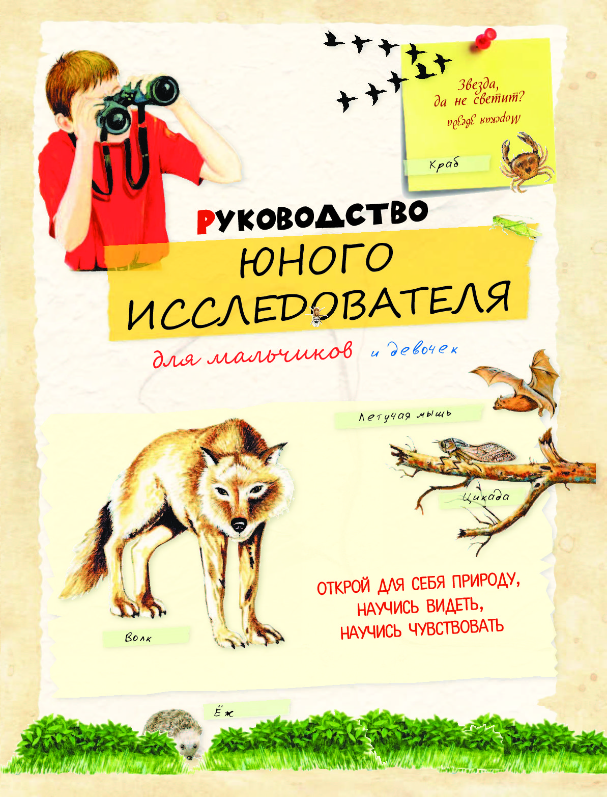 Книги для мальчика 8 лет список. Книга для мальчика 9 лет приключения. Книги для мальчиков 8 лет. Интересные книги для мальчишек 8 лет. Книги для мальчиков 8 лет приключения.