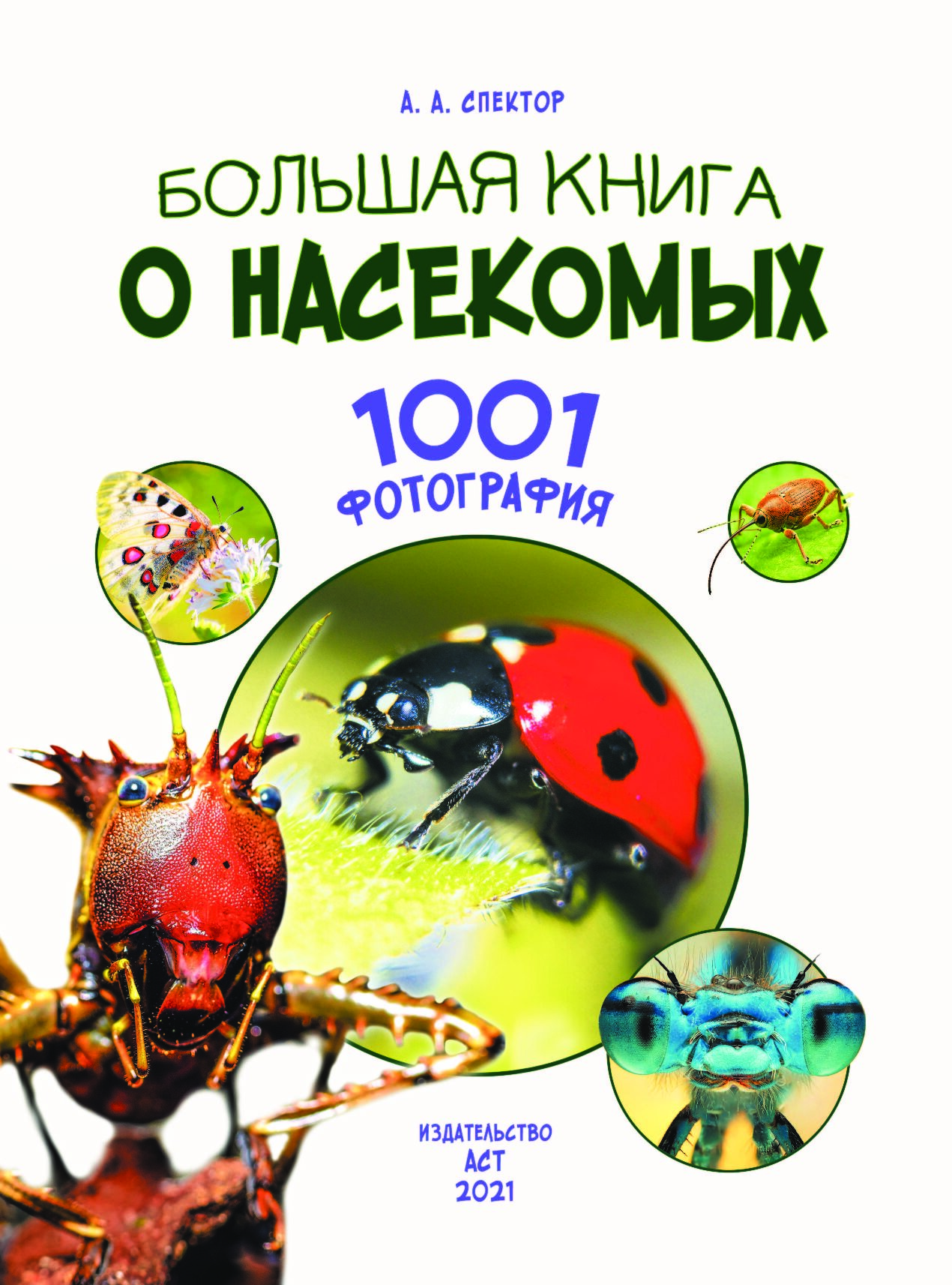 Книга большая книга о насекомых 1001 фотография