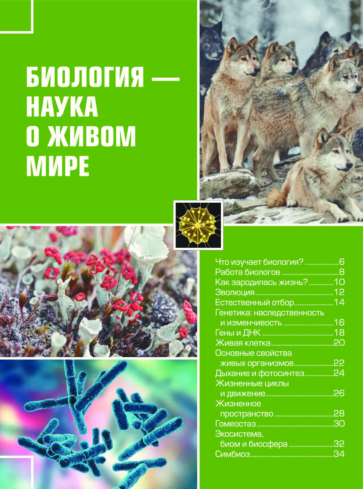 Гигантская Детская Энциклопедия С Дополненной Реальностью Купить