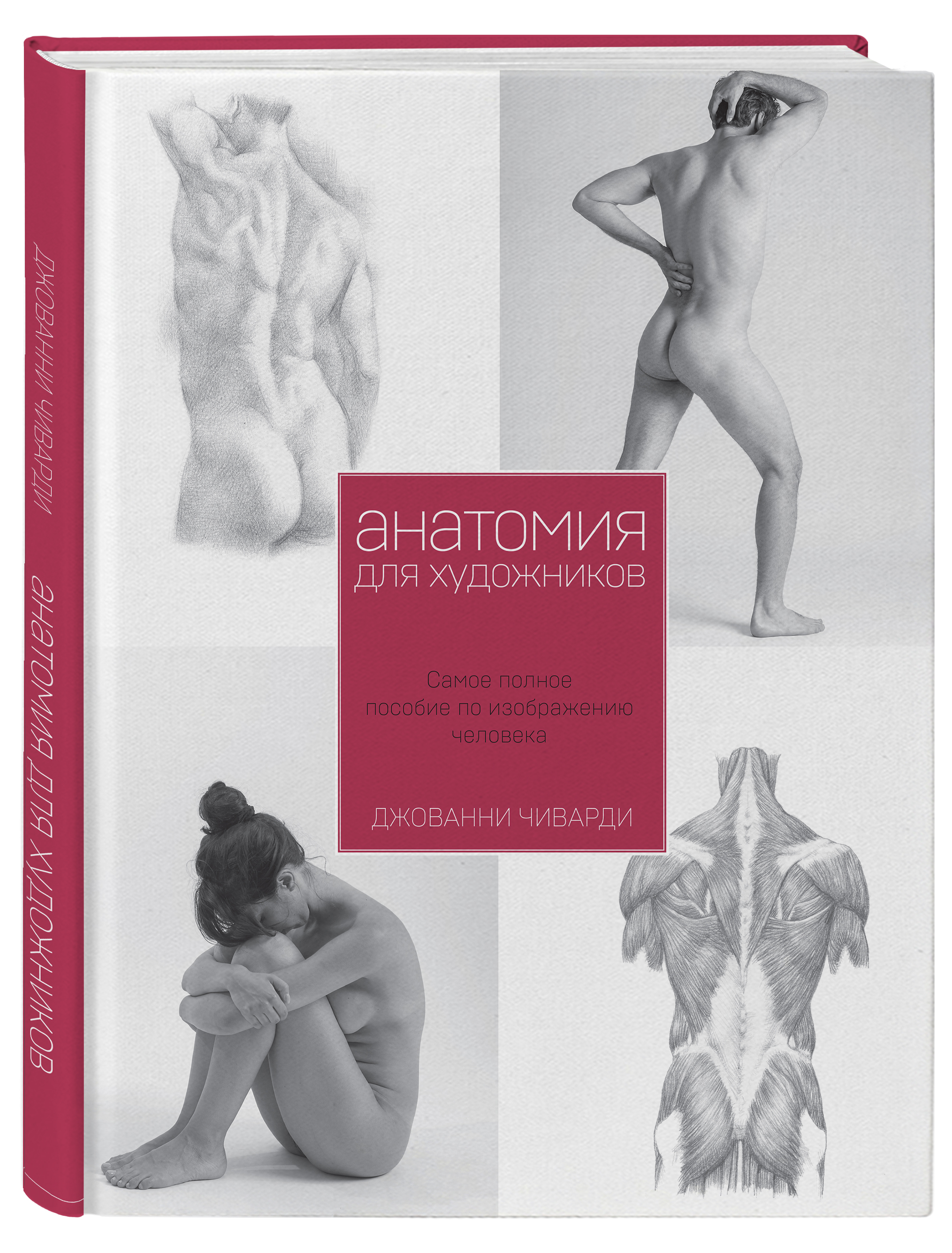 Анатомия для художника. Самое полное пособие по изображению человека Анатомия для художника. Самое полное пособие по изображению человека