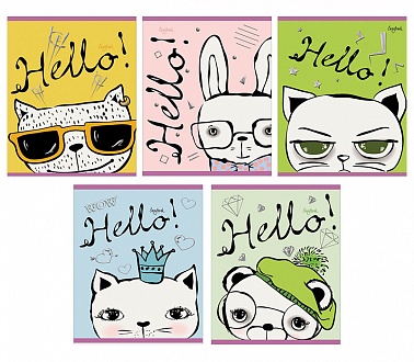 Стильная бригада ТЕТРАДИ А5 (*скрепка) 48Л. Обложка: high-class