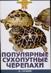 Популярные сухопутные черепахи