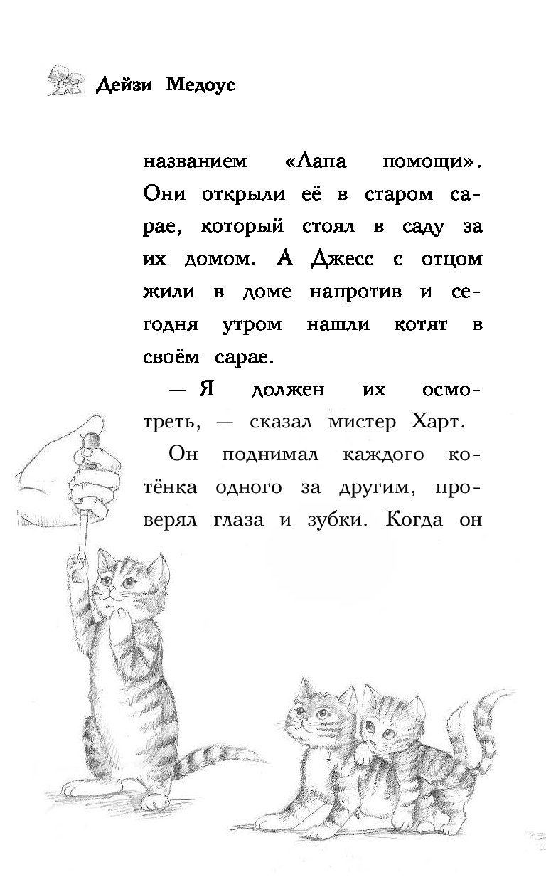 Котенок бела. Котёнок Белла или любопытный носик Дейзи Медоус. Книга Дейзи Медоус лес дружбы котенок Белла или любопытный носик. Книга котёнок Белла или любопытный носик. Лес дружбы. Котёнок Белла, или любопытный носик.