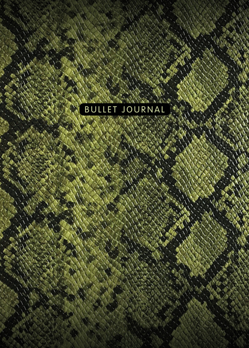 Блокнот в точку: Bullet Journal (змея, 120 c., пружина)