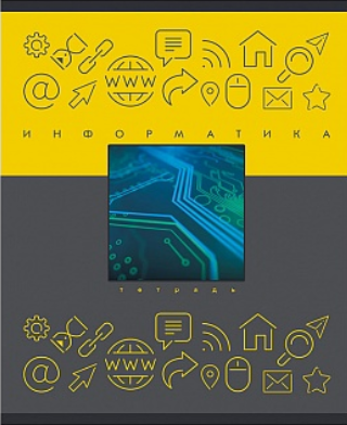 Теория и практика. Информатика ТЕТРАДИ А5 (*скрепка) ПРЕДМЕТНЫЕ 48Л. Обложка: high-class