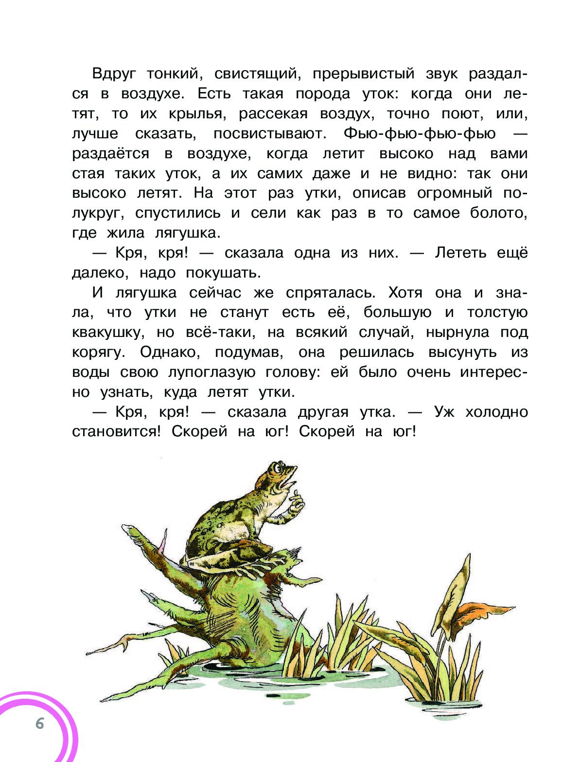 Чтение лягушка путешественница. Сказка Гаршина лягушка путешественница текст. Текст сказки лягушка путешественница в.Гаршин. Краткий пересказ сказки лягушка путешественница. Лягушка путешественница мамин Сибиряк.