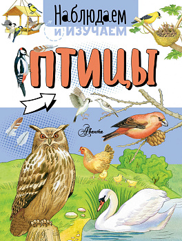 Птицы Птицы