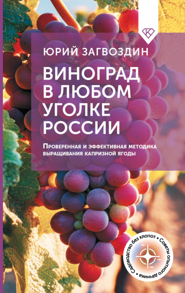 SOURCE_PICTURE