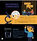 Приключения Тима в мире бактерий