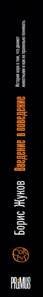SOURCE_SPINE SOURCE_SPINE