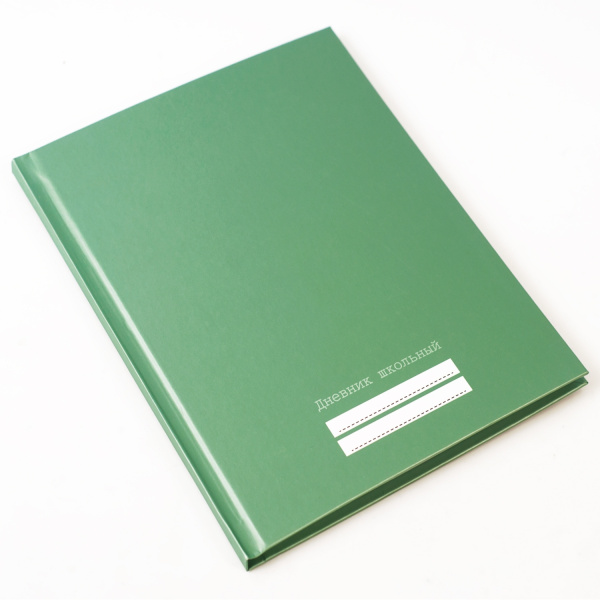 ДУ174827 ДНЕВНИКИ (*ПЕРЕПЛЕТ 7БЦ) для средних и старших классов