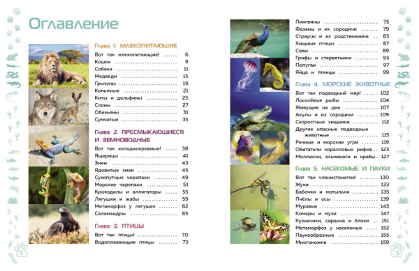 Животные. Большая детская энциклопедия