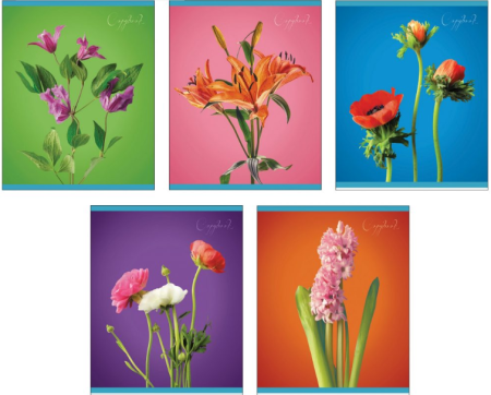 Прекрасные цветы ТЕТРАДИ А5 (*скрепка) 96Л. Обложка: лакирование