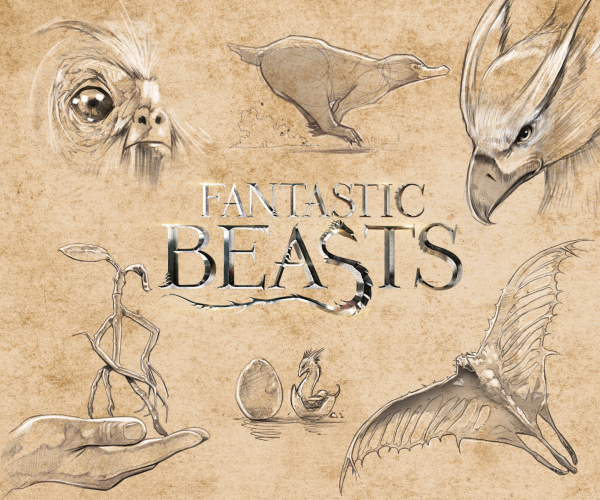 SOURCE_PICTURE SOURCE_PICTURE