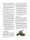Каково быть птицей: о полетах и гнездовании, кормлении и пении. Как и чем живут самые известные птицы на земле