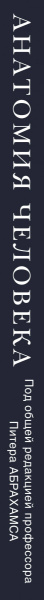 SOURCE_SPINE SOURCE_SPINE