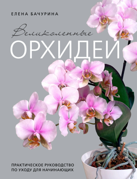 SOURCE_PICTURE