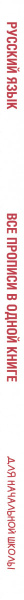 SOURCE_SPINE